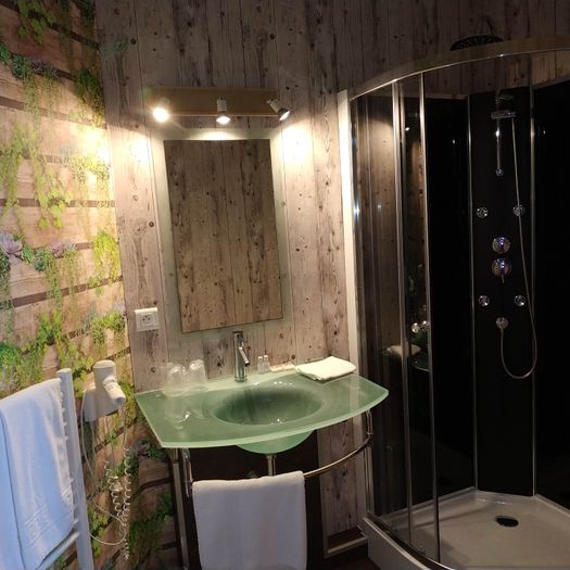 Salle de bain chambre n°2
